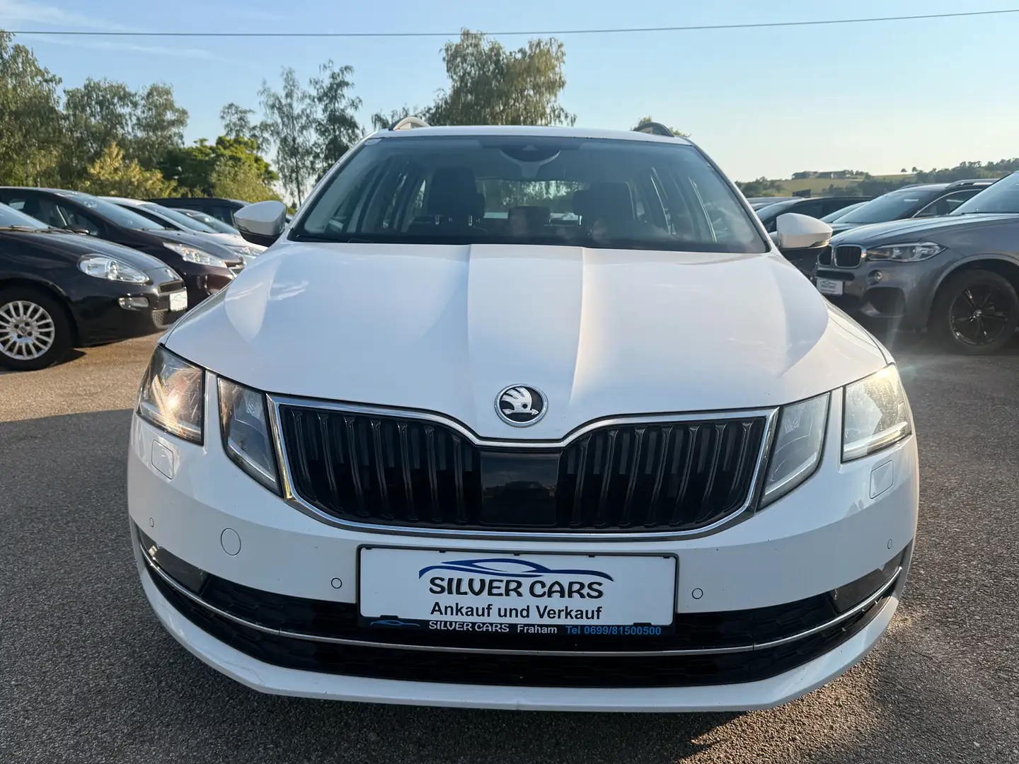 Skoda Octavia Weiß - 1