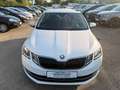 Skoda Octavia Weiß - thumbnail 2