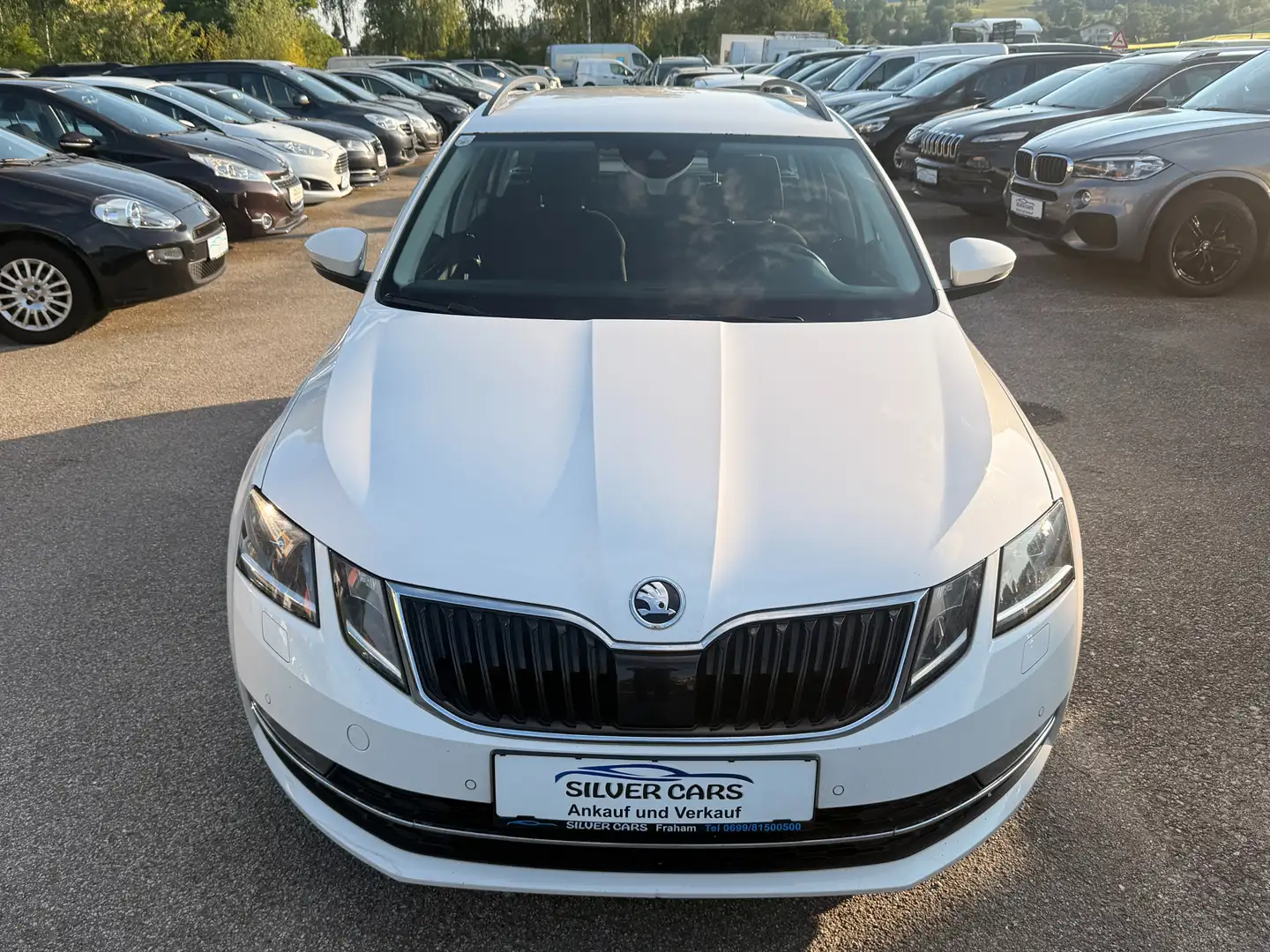 Skoda Octavia Weiß - 2