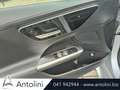 Mercedes-Benz C 220 d Mild hybrid S.W. Premium Argento - thumbnail 11