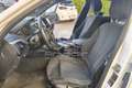 BMW 116 116d 5p. Msport Bianco - thumbnail 12