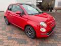 Fiat 500 Dolcevita Mild-Hybrid, DAB, PDC Rot - thumbnail 3