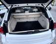 BMW X5 M M50d Catena distribuzione nuova!! Wit - thumbnail 18