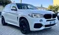 BMW X5 M M50d Catena distribuzione nuova!! Wit - thumbnail 3