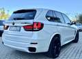 BMW X5 M M50d Catena distribuzione nuova!! Wit - thumbnail 4