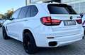 BMW X5 M M50d Catena distribuzione nuova!! Wit - thumbnail 6