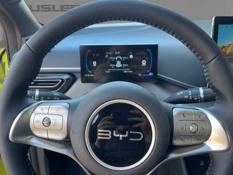 BYD Dolphin SURF Comfort SHZ 360°Kamera CarPlay Klima — photo 11