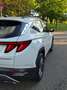 Hyundai TUCSON TUCSON 1.6 T-GDi 48V-Hybrid 2WD DCT Weiß - thumbnail 15