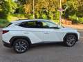 Hyundai TUCSON TUCSON 1.6 T-GDi 48V-Hybrid 2WD DCT Weiß - thumbnail 14