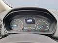 Ford EcoSport 1.0 EcoBoost 125pk Trend Ultimate | Camera |Naviga Grijs - thumbnail 13