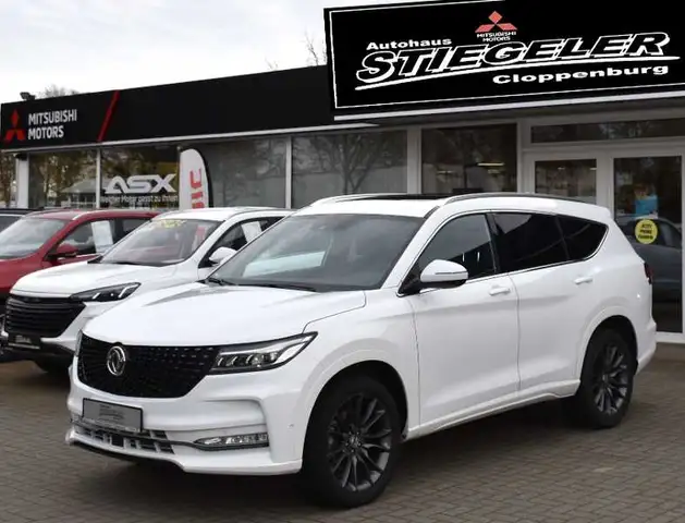 Dfsk Fengon 7 7 2.0 4WD 7 Sitze AHK 2.5t