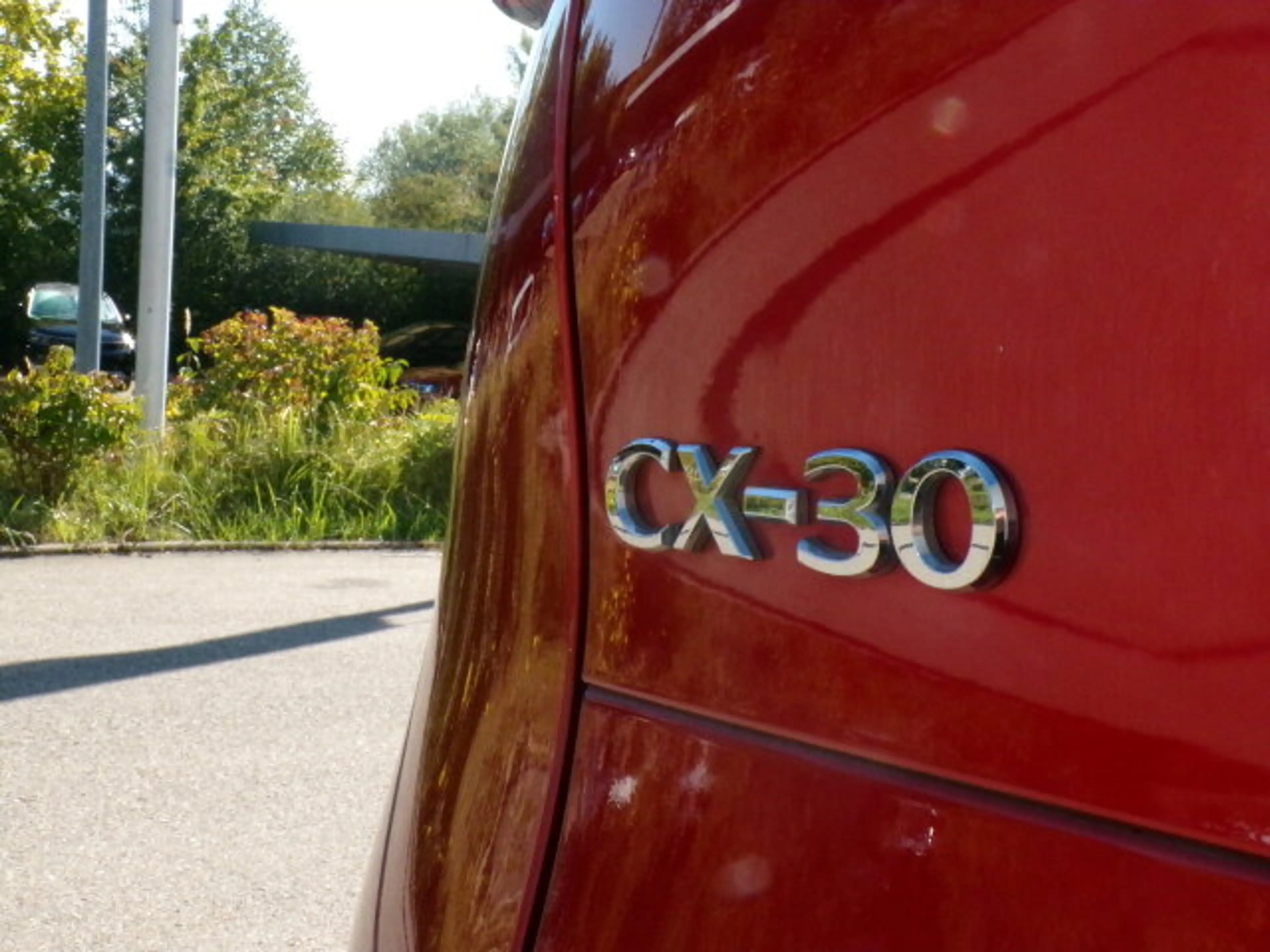 Mazda CX-30 CX-30 2.0 SKYACTIV-G M Hybrid 150 Homura 2WD  Navi — photo 6