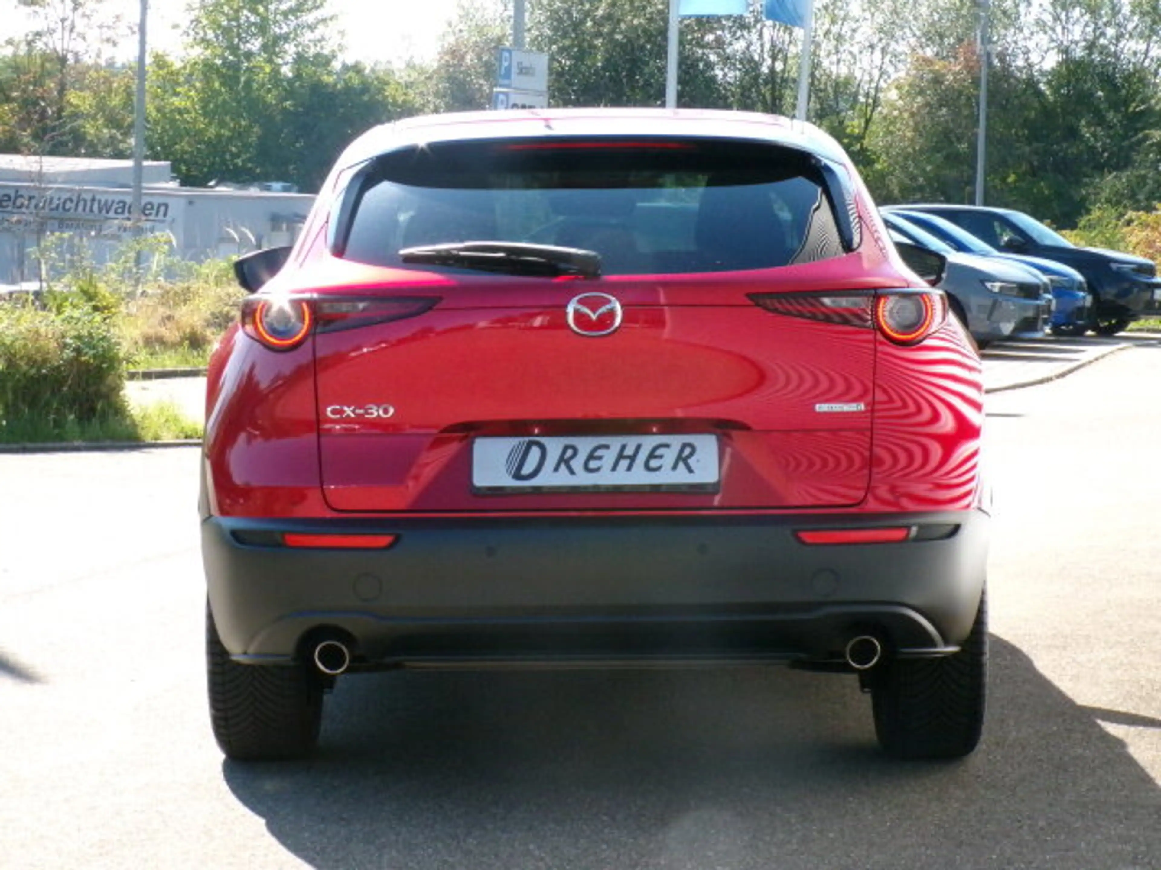 Mazda CX-30 CX-30 2.0 SKYACTIV-G M Hybrid 150 Homura 2WD  Navi — photo 5