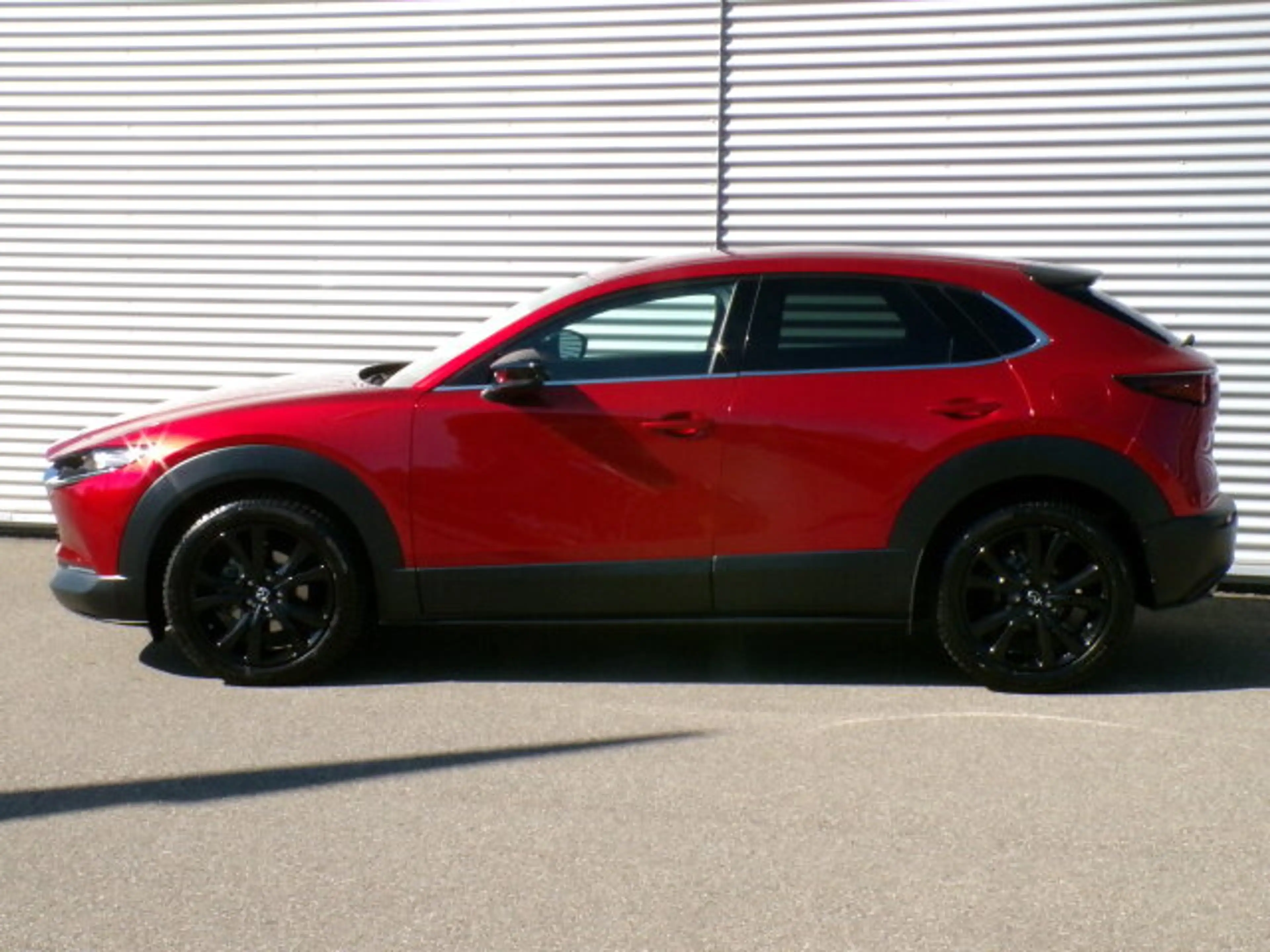 Mazda CX-30 CX-30 2.0 SKYACTIV-G M Hybrid 150 Homura 2WD  Navi — photo 3