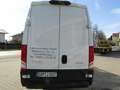 Iveco Daily - thumbnail 4
