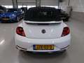 Volkswagen Beetle Cabriolet 1.4 TSI Sound 150pk Automaat Navigatie 1 Weiß - thumbnail 41