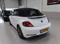 Volkswagen Beetle Cabriolet 1.4 TSI Sound 150pk Automaat Navigatie 1 Weiß - thumbnail 40