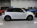 Volkswagen Beetle Cabriolet 1.4 TSI Sound 150pk Automaat Navigatie 1 Wit - thumbnail 42