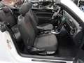 Volkswagen Beetle Cabriolet 1.4 TSI Sound 150pk Automaat Navigatie 1 Wit - thumbnail 18