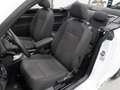Volkswagen Beetle Cabriolet 1.4 TSI Sound 150pk Automaat Navigatie 1 Wit - thumbnail 17