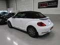 Volkswagen Beetle Cabriolet 1.4 TSI Sound 150pk Automaat Navigatie 1 Weiß - thumbnail 29
