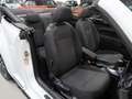Volkswagen Beetle Cabriolet 1.4 TSI Sound 150pk Automaat Navigatie 1 Wit - thumbnail 37
