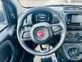 Fiat Panda Panda III 2025 hybrid KM0 PACK CITY+5° POSTO Blu/Azzurro - thumbnail 12