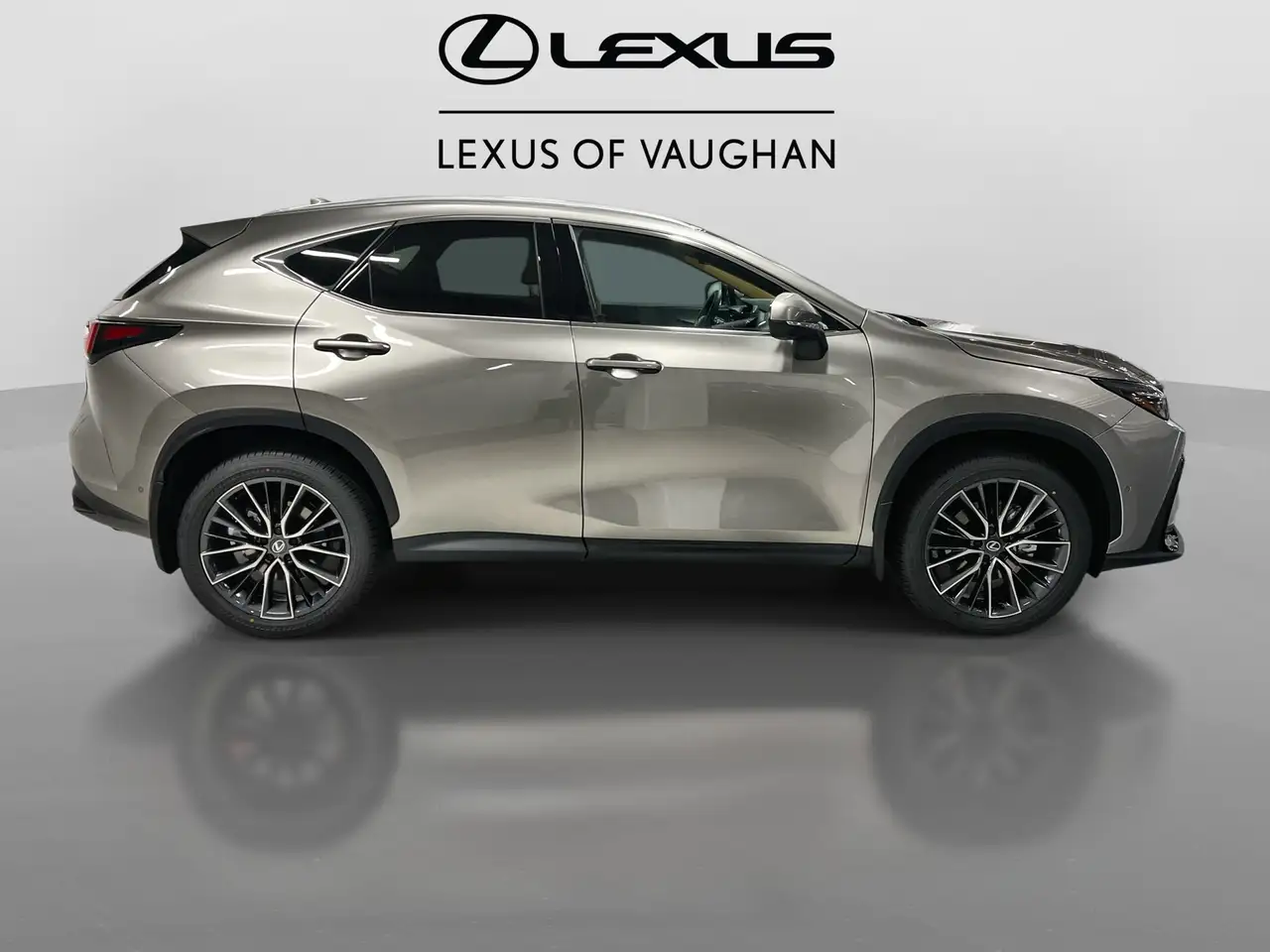 Lexus NX снимка Lexus NX