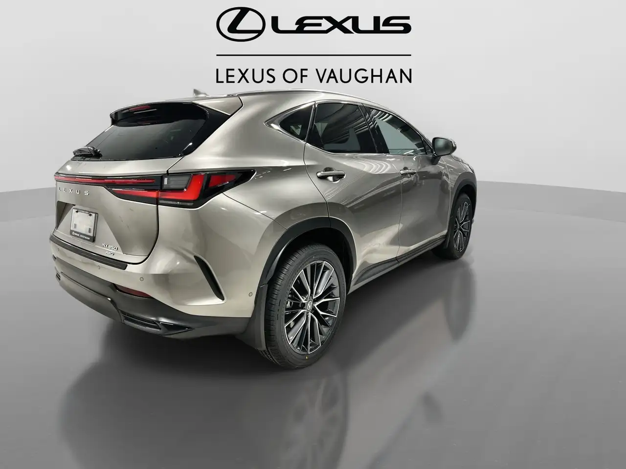 Lexus NX снимка Lexus NX