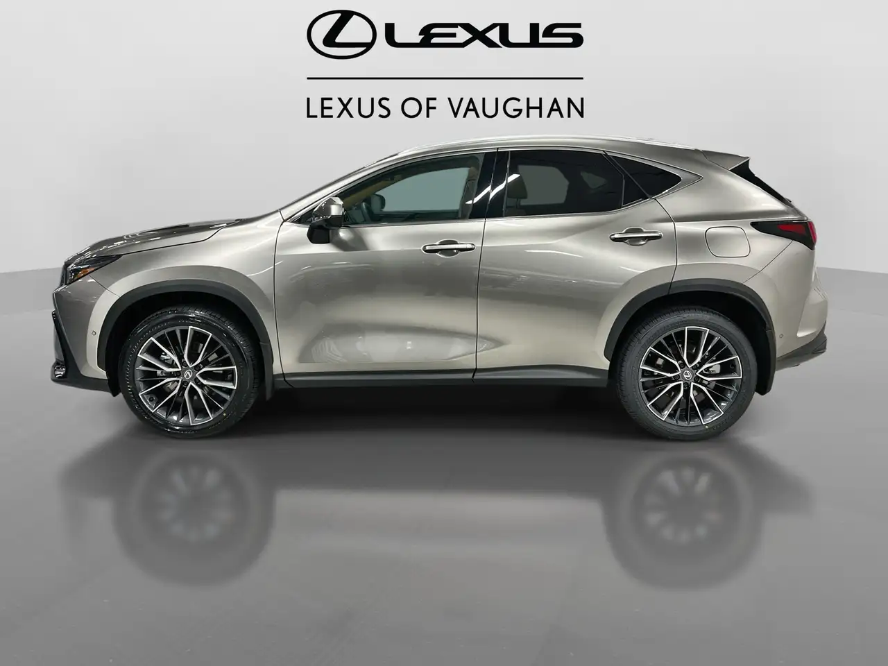 Lexus NX снимка Lexus NX