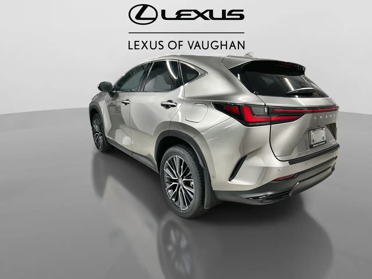 Lexus NX снимка Lexus NX