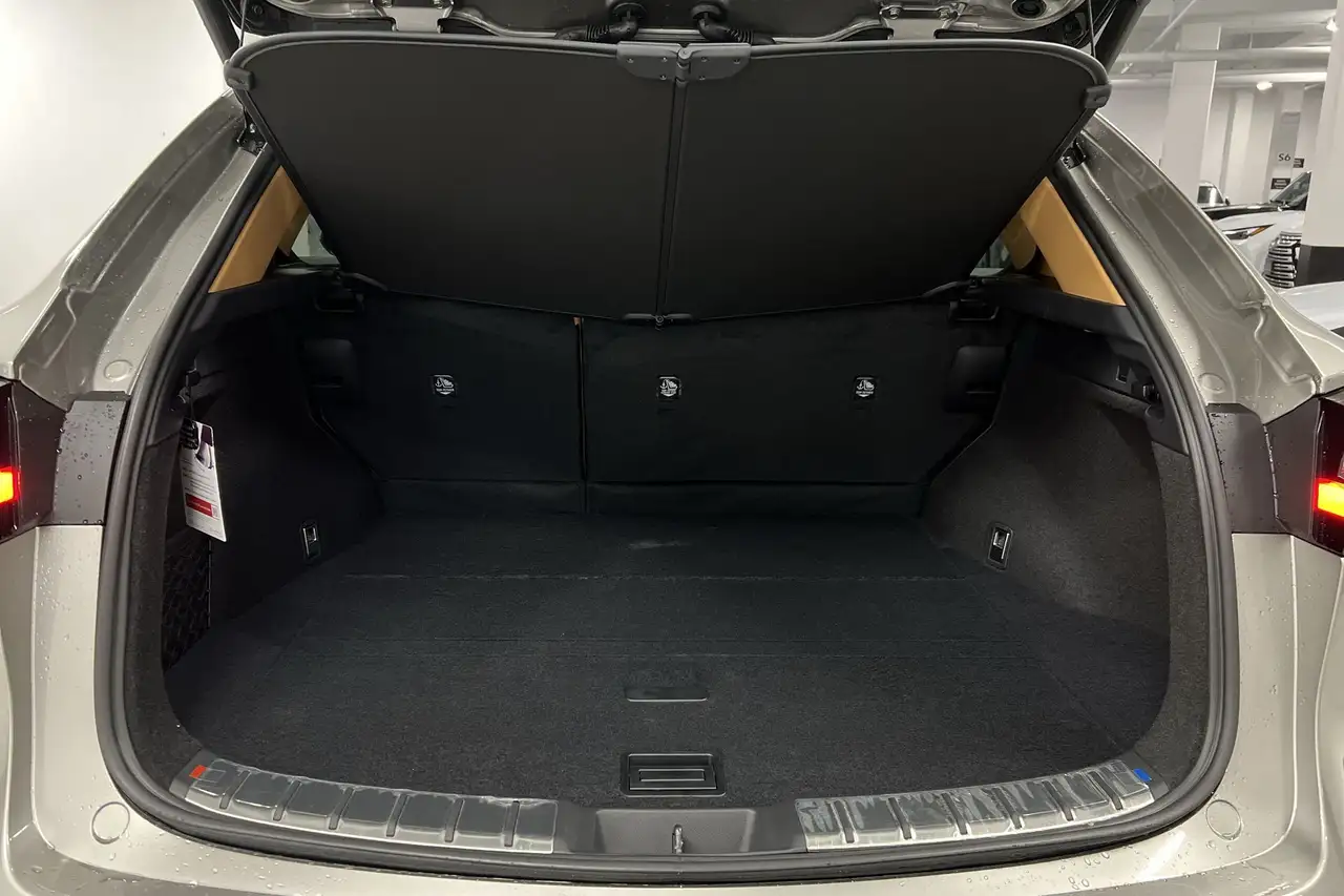 Lexus NX снимка Lexus NX
