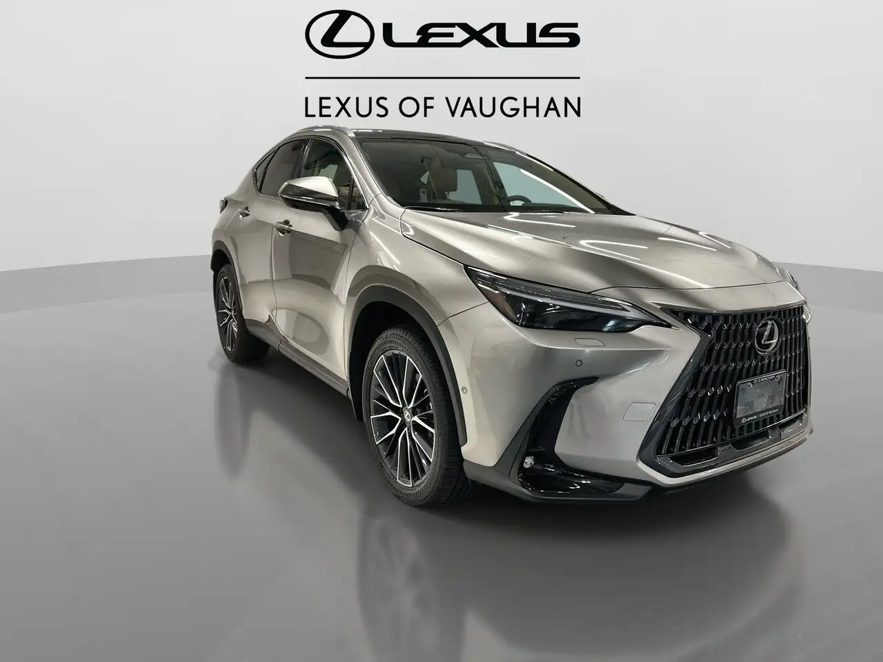 Lexus NX снимка Lexus NX