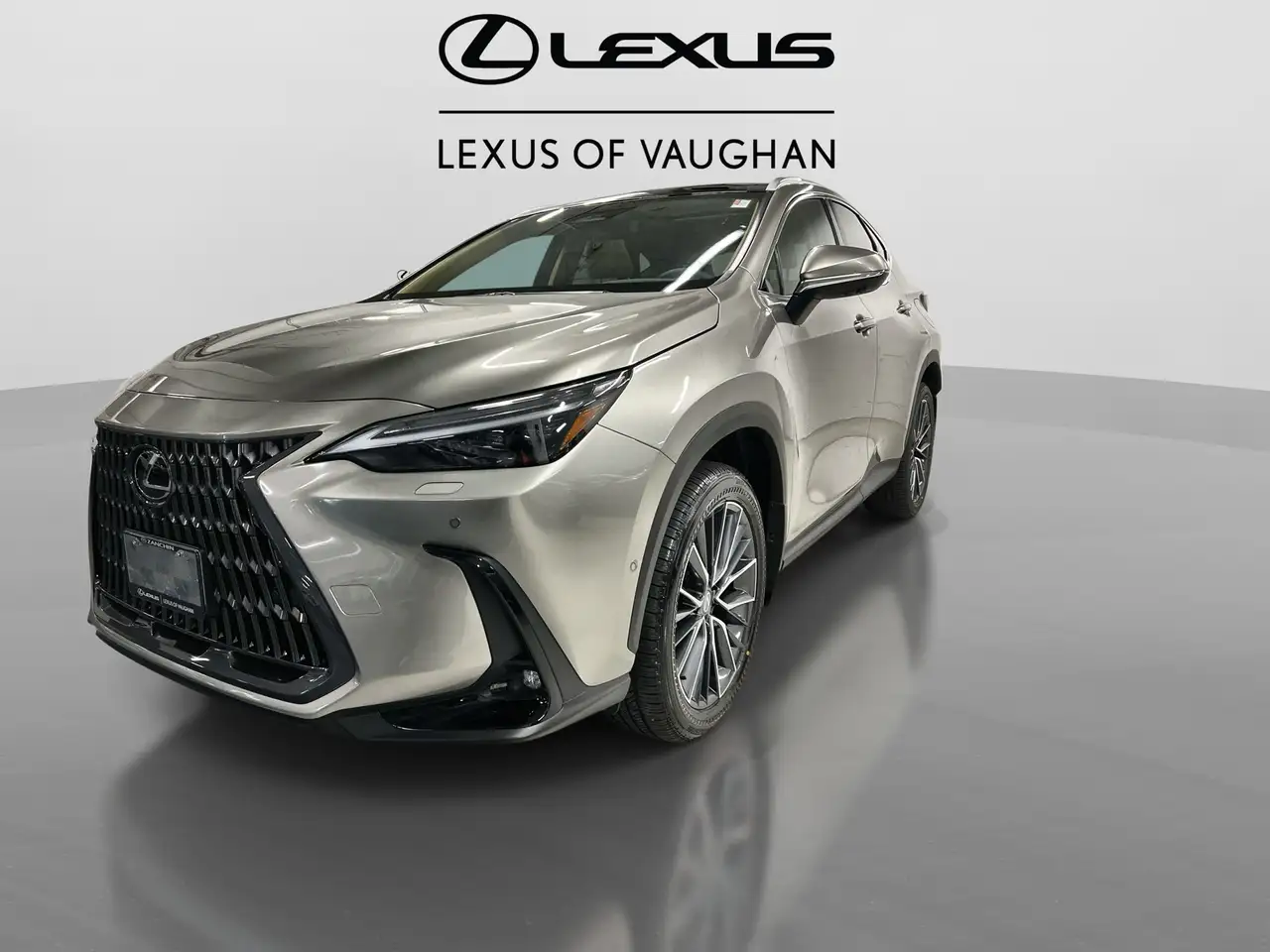 Lexus NX снимка Lexus NX