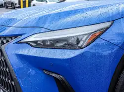 Lexus NX снимка Lexus NX