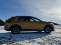 Kia XCeed Xceed 1,4 TGDI GPF First Yellow First Yellow Gelb - thumbnail 12