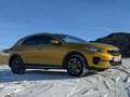Kia XCeed Xceed 1,4 TGDI GPF First Yellow First Yellow Gelb - thumbnail 13