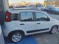 Fiat Panda Panda 1.0 firefly hybrid City Life s Bianco - thumbnail 4