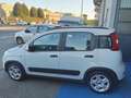 Fiat Panda Panda 1.0 firefly hybrid City Life s Bianco - thumbnail 3