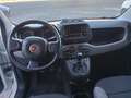 Fiat Panda Panda 1.0 firefly hybrid City Life s Bianco - thumbnail 9