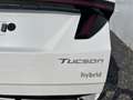 Hyundai TUCSON Impression HEV 4WD AUT N-LINE PANO ACC ECC 360 ... Weiß - thumbnail 11