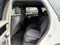 Volkswagen Touareg 4Motion V6 TDI SCR R-Line Aut. AHK Night-Vision... Weiß - thumbnail 9