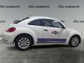 Volkswagen Beetle 1.6TDI Beetlemanía 105 Blanco - thumbnail 2