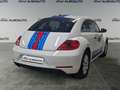 Volkswagen Beetle 1.6TDI Beetlemanía 105 Blanco - thumbnail 6