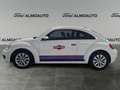 Volkswagen Beetle 1.6TDI Beetlemanía 105 Blanco - thumbnail 4