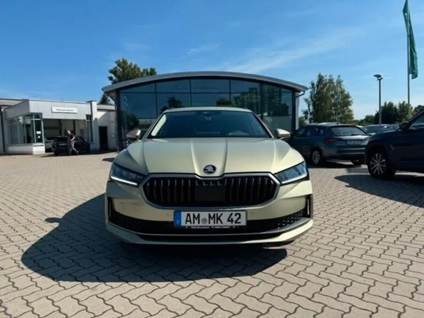 Skoda Superb Combi Selection Beige - 2