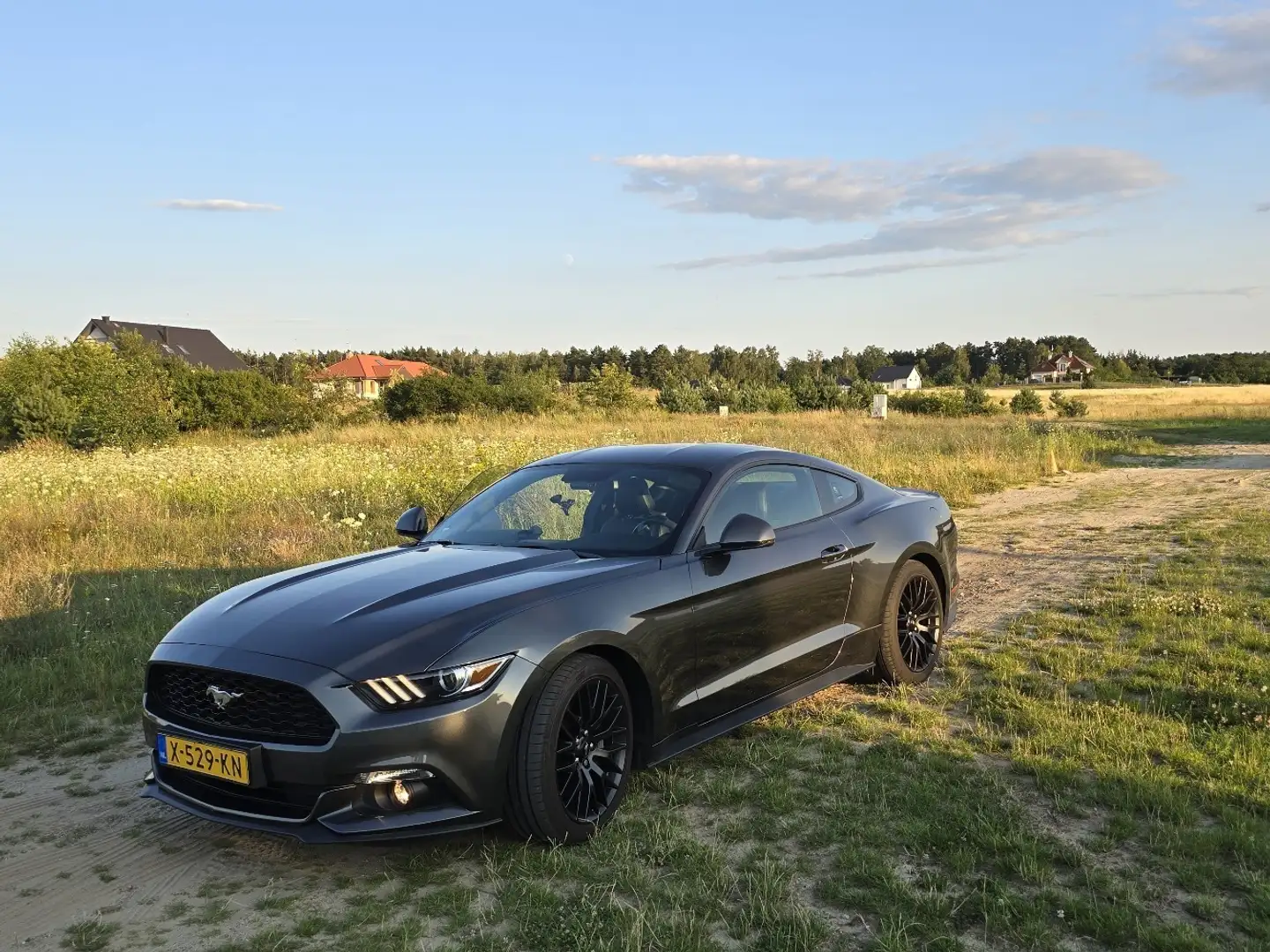Ford Mustang 2.3 Eco Boost Grijs - 2