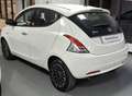 Lancia Ypsilon Ypsilon 2020 1.2 Platinum ecochic Gpl 69cv my19 Bianco - thumbnail 4