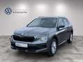 Skoda Kamiq Selection TSI Grau - thumbnail 1