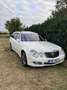 Mercedes-Benz E 320 T CDI 4Matic Automatik Avantgarde DPF - thumbnail 1